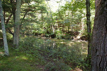 Blackstone Canal